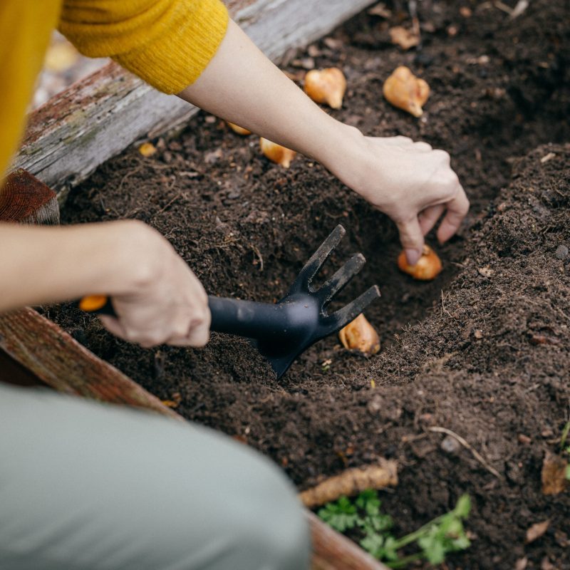 Fiskars Solid Planters Hoe - Image 2