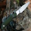 Deschutes Skinner - Image 2