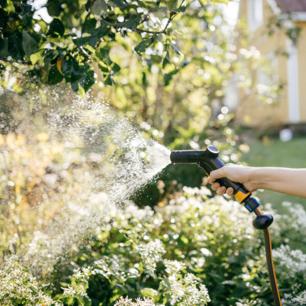 Solid™ Spray gun, adjustable - Image 3