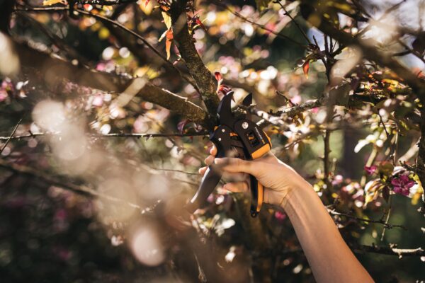 Pruner P83 PowerStep™ - Image 2