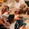 Trimming Scissors​ - Image 2