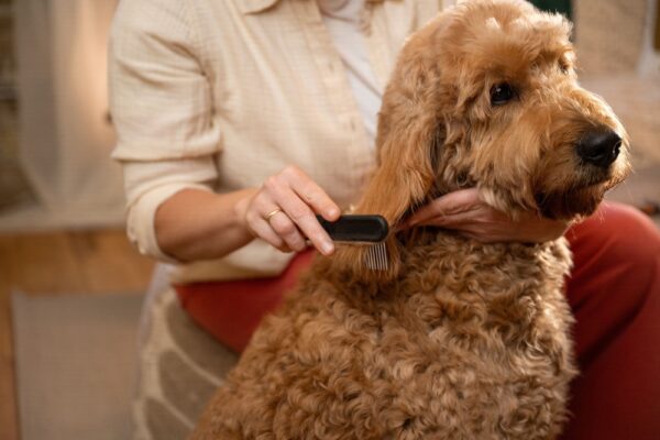 Wide Toothed Comb - Image 3