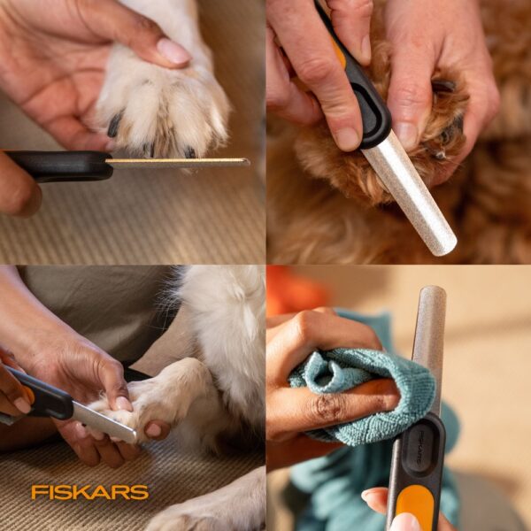 Nail File​ - Image 3