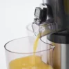 Slow Juicer - Image 6